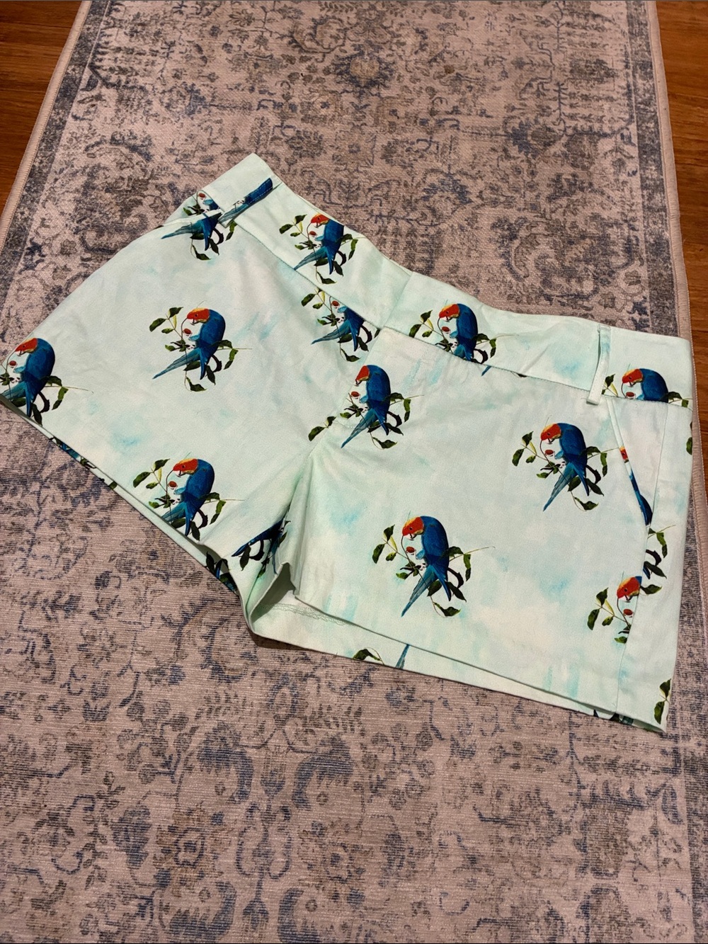 Alice + Olivia NWT parrots in paradise shorts - women’s size 10 - blue